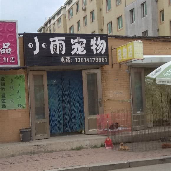 小雨宠物:营口市大石桥市