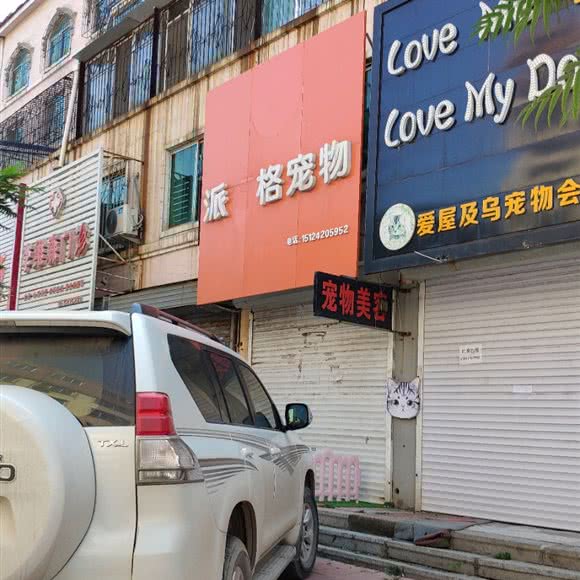 派多格宠物(大石桥店):营口市大石桥市