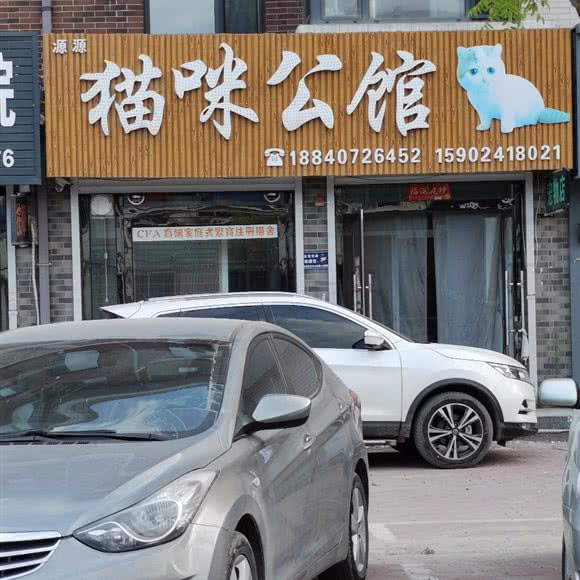 猫咪公馆:营口市大石桥市