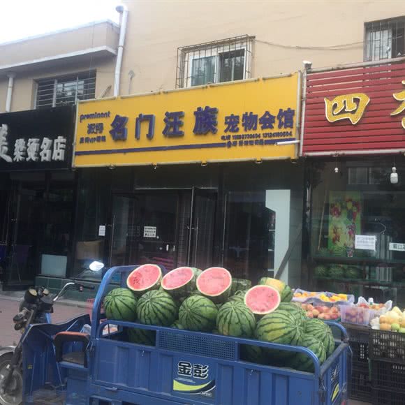 名门汪族宠物会馆:阜新市新邱区