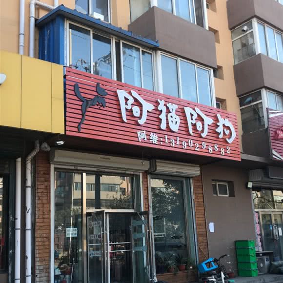 阿猫阿狗:阜新市太平区