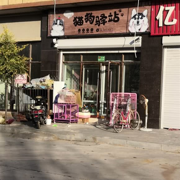 猫狗驿站:阜新市彰武县