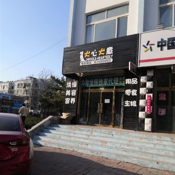 犬心犬意:阜新市彰武县