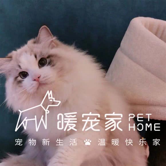 暖宠家:北京城区朝阳区北苑家园附近