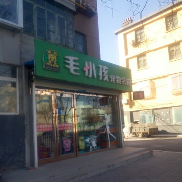 毛小孩宠物会馆:辽阳市白塔区