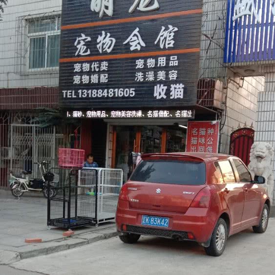 萌宠宠物会馆:辽阳市白塔区