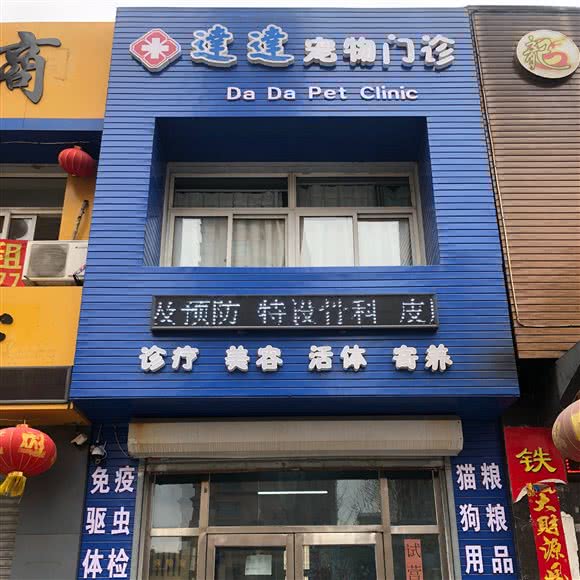 達達宠物住院部:辽阳市白塔区