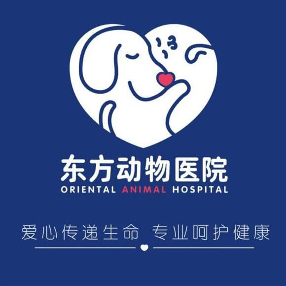 石家庄东方动物医院:太原市小店区康宁街附近