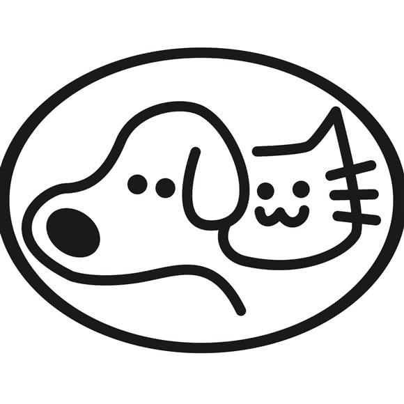 它说宠物:辽阳市文圣区