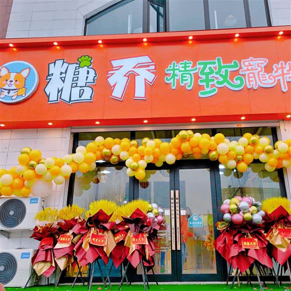 糖乔精致宠物:辽阳市文圣区