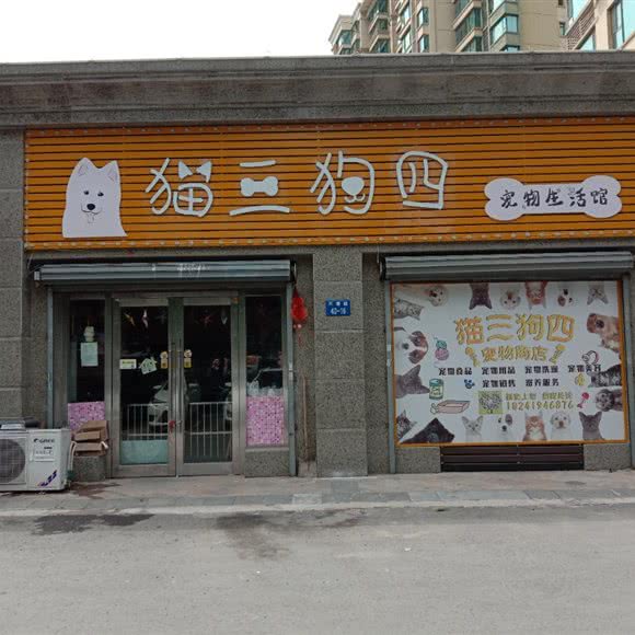 猫三狗四:辽阳市文圣区