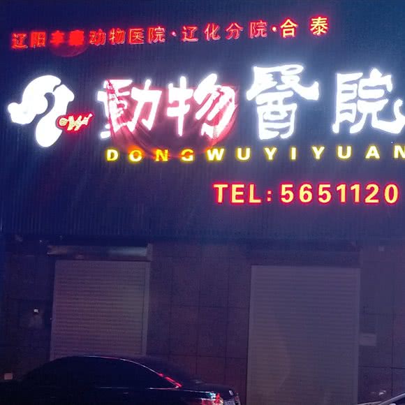 辽阳丰泰动物医院(辽化分院):辽阳市宏伟区