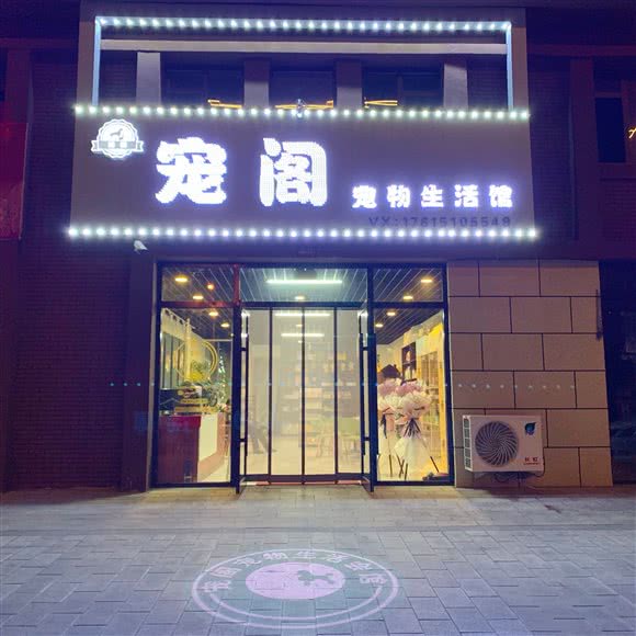 宠阁宠物生活馆:盘锦市大洼区