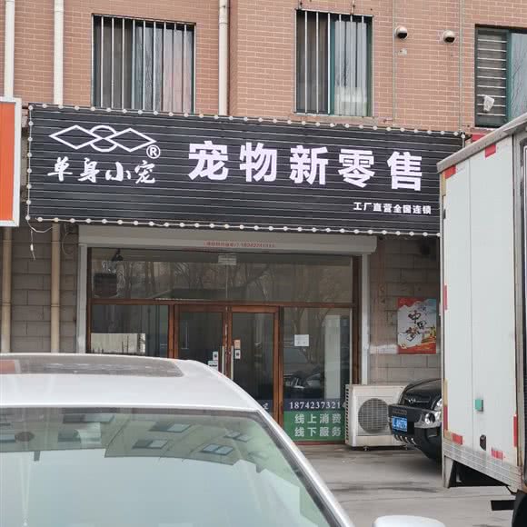 单身小宠狗狗新零售:盘锦市大洼区