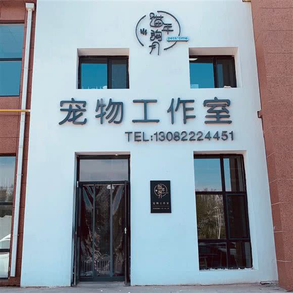猫年狗月宠物工作室:盘锦市大洼区