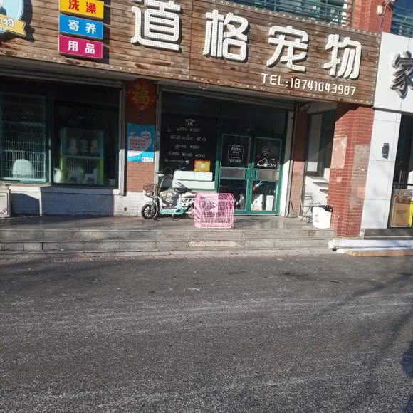 道格宠物:铁岭市昌图县