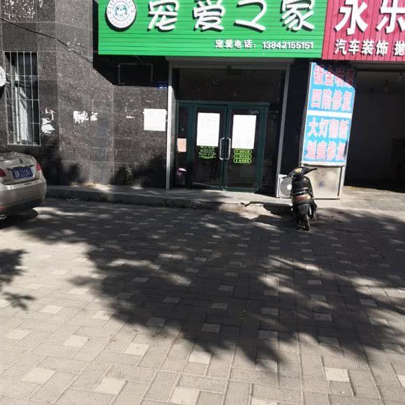 宠爱之家:朝阳市双塔区