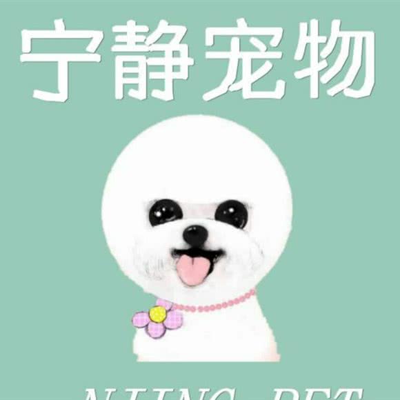 太原市小店区宁静宠物用品店:太原市小店区大营盘附近