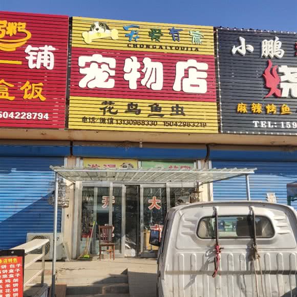 宠爱有家宠物店:葫芦岛市绥中县