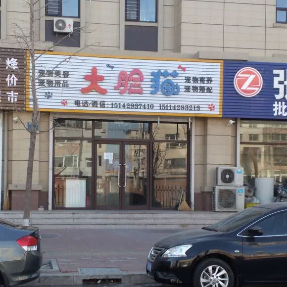 大脸猫:葫芦岛市兴城市
