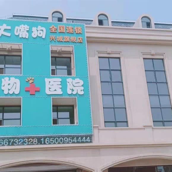 大嘴狗宠物医院:葫芦岛市兴城市
