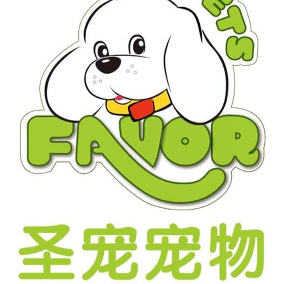 圣宠宠物(中央公馆店):长春市南关区