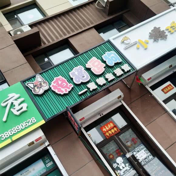 撩猫逗狗宠物生活馆:长春市南关区