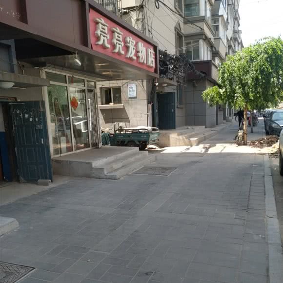 亮亮宠物店:长春市南关区