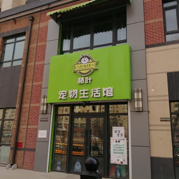 桔叶宠物生活馆:长春市南关区