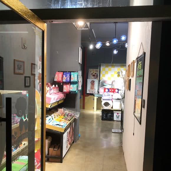 喵先生汪小姐宠物店(清枫华景店):太原市小店区北美新天地N1附近