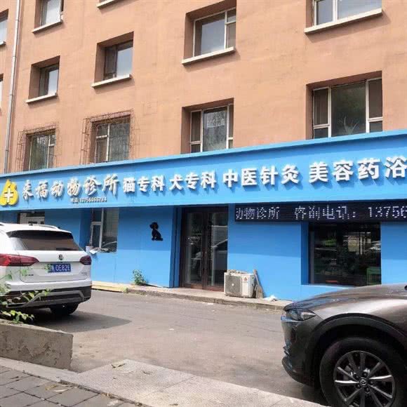 来福动物诊所(猫专科):长春市南关区