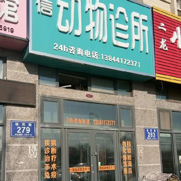 凯信动物诊所:长春市南关区
