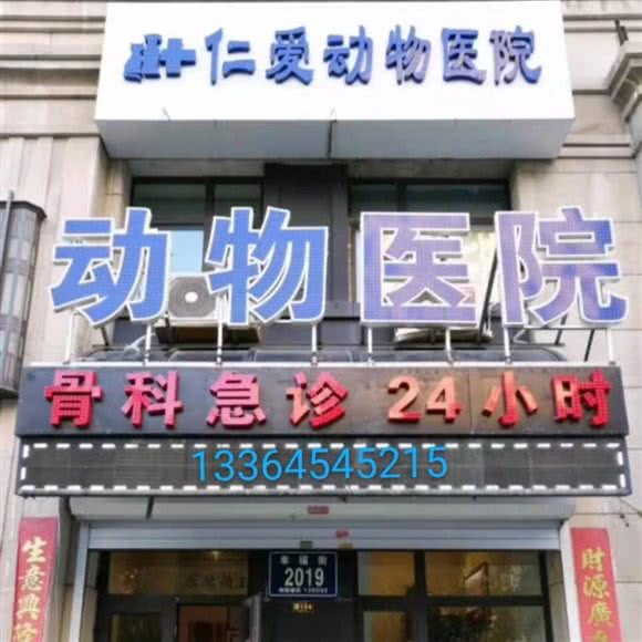 仁爱动物医院(总店):长春市南关区