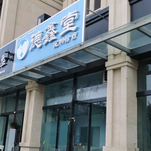 德鑫堂宠物诊疗:太原市小店区北美新天地N1附近