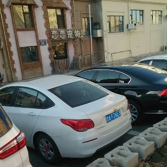 恋恋宠物生活馆:长春市朝阳区