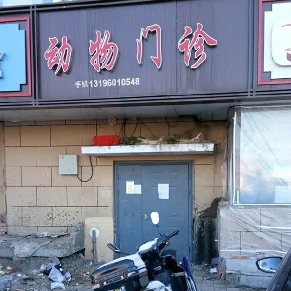 动物门诊:长春市二道区
