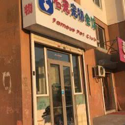 名宠宠物会馆:长春市绿园区
