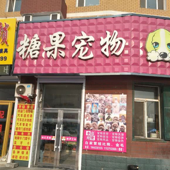 糖果宠物(怡景花园店):长春市九台区