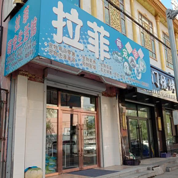 拉菲萌宠生活馆:长春市九台区