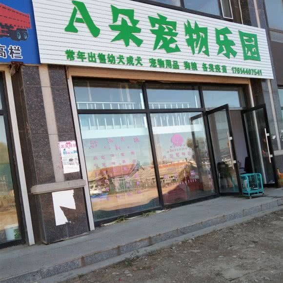 A朵宠物乐园:长春市德惠市