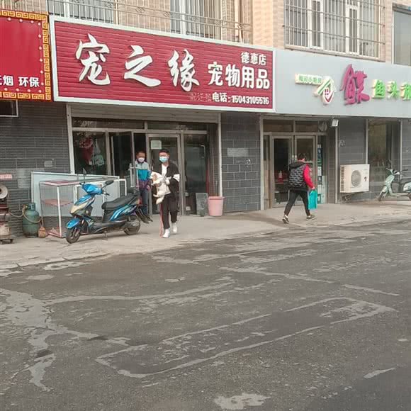 宠之缘宠物用品(德惠店):长春市德惠市