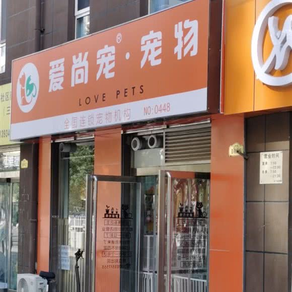 爱尚宠·狗狗:太原市小店区富士康附近