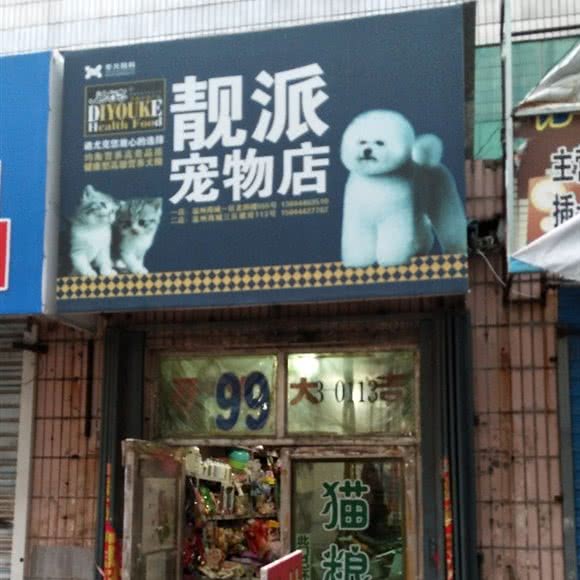 靓派宠物店:长春市公主岭市