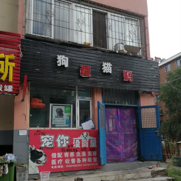 狗爸猫妈:吉林市昌邑区