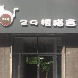 29楼猫舍:吉林市昌邑区