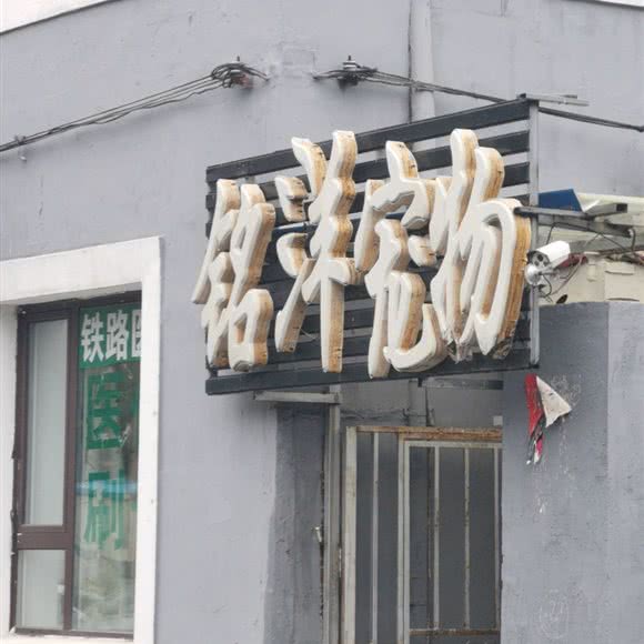 铭洋宠物诊所:吉林市昌邑区