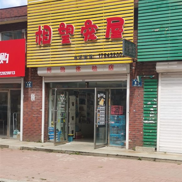 相望宠屋:吉林市龙潭区