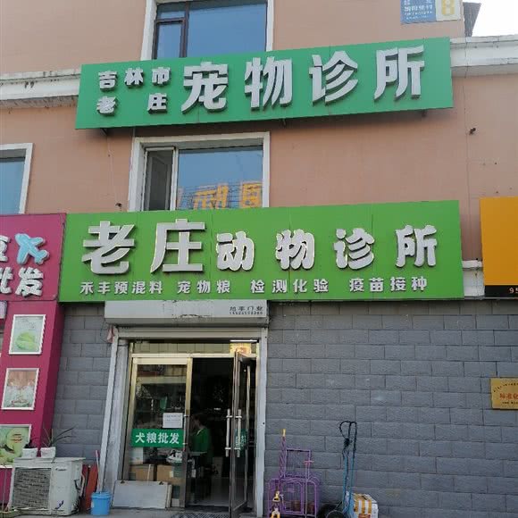 老庄动物诊疗宠物乐园:吉林市船营区