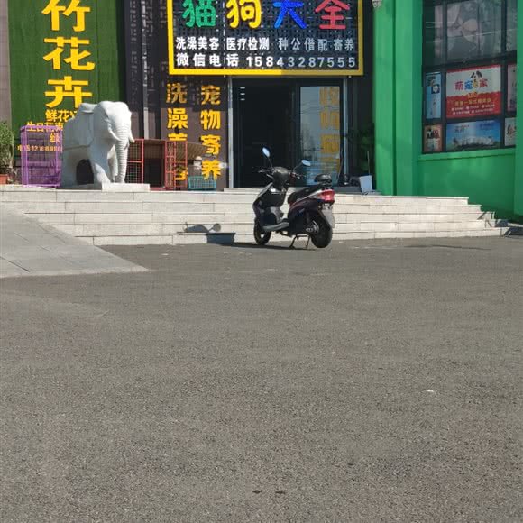嘎子宠物猫狗大全:吉林市船营区