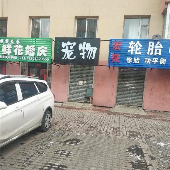 狗先生宠物:吉林市船营区